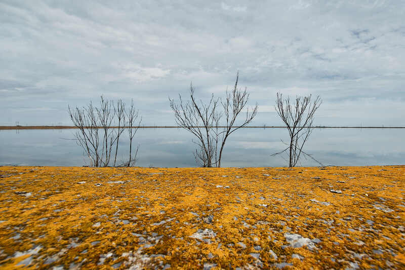 большой лиман, волгоградская область Большой лиман фото превью