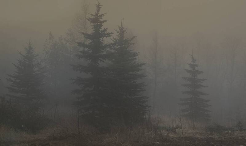 Туманный рассвет фото превью