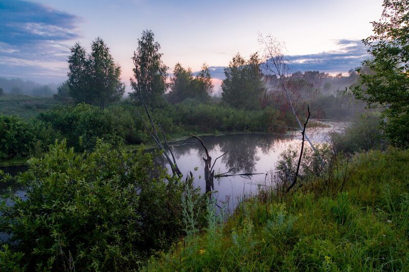 В сон погружаясь фото превью