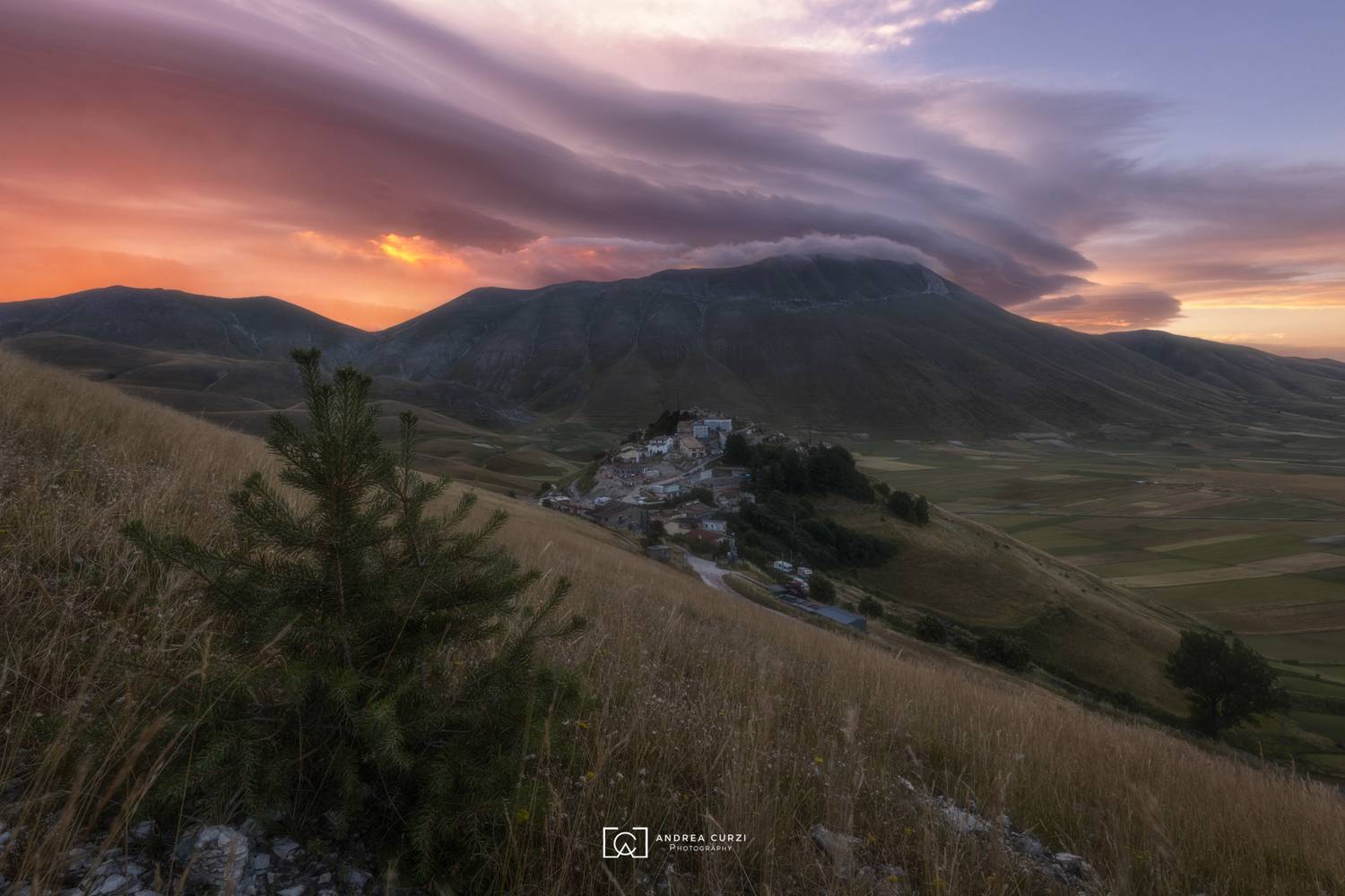 , Andrea Curzi