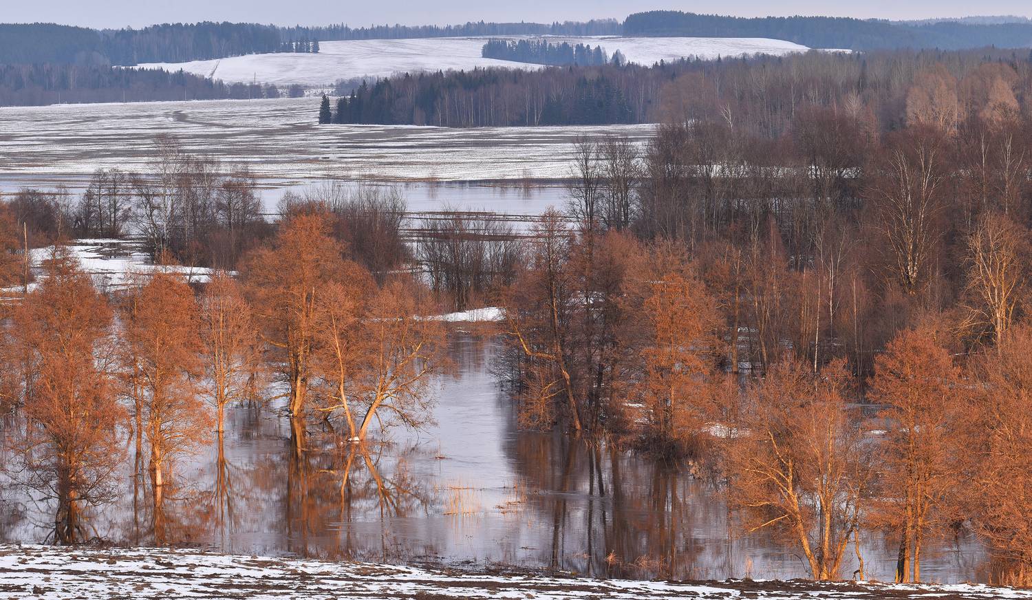 , Андрей Зыкин