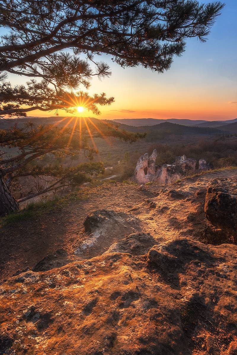 landscape, photography, nikon, sunset, sky, tree, rocks, Patrick