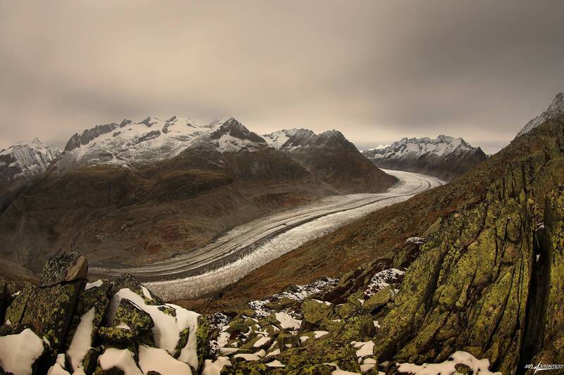 swiss Алеч... фото превью
