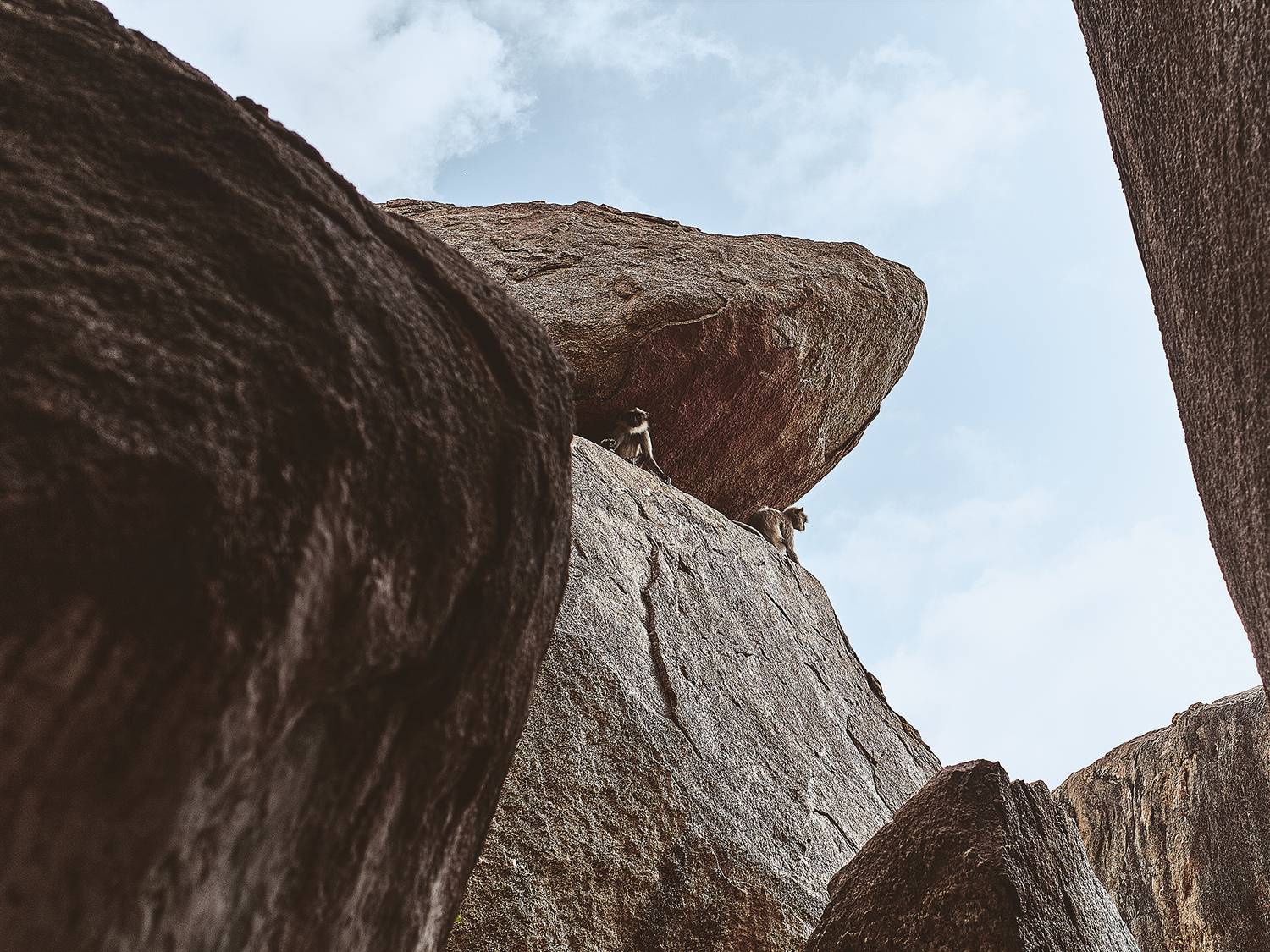 monkey, landscape, stones, hampi, fujifilm, fujifilmxt2, xf23f14, documentary style, documentary, travel, travel photography, UNMESH V G