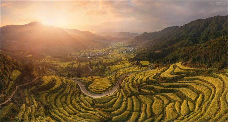 китай, фототур в китай, весенний фототур в китай, осенний фототур в китай, фототуры 2026, цзянси, рапс Место под солнцем фото превью