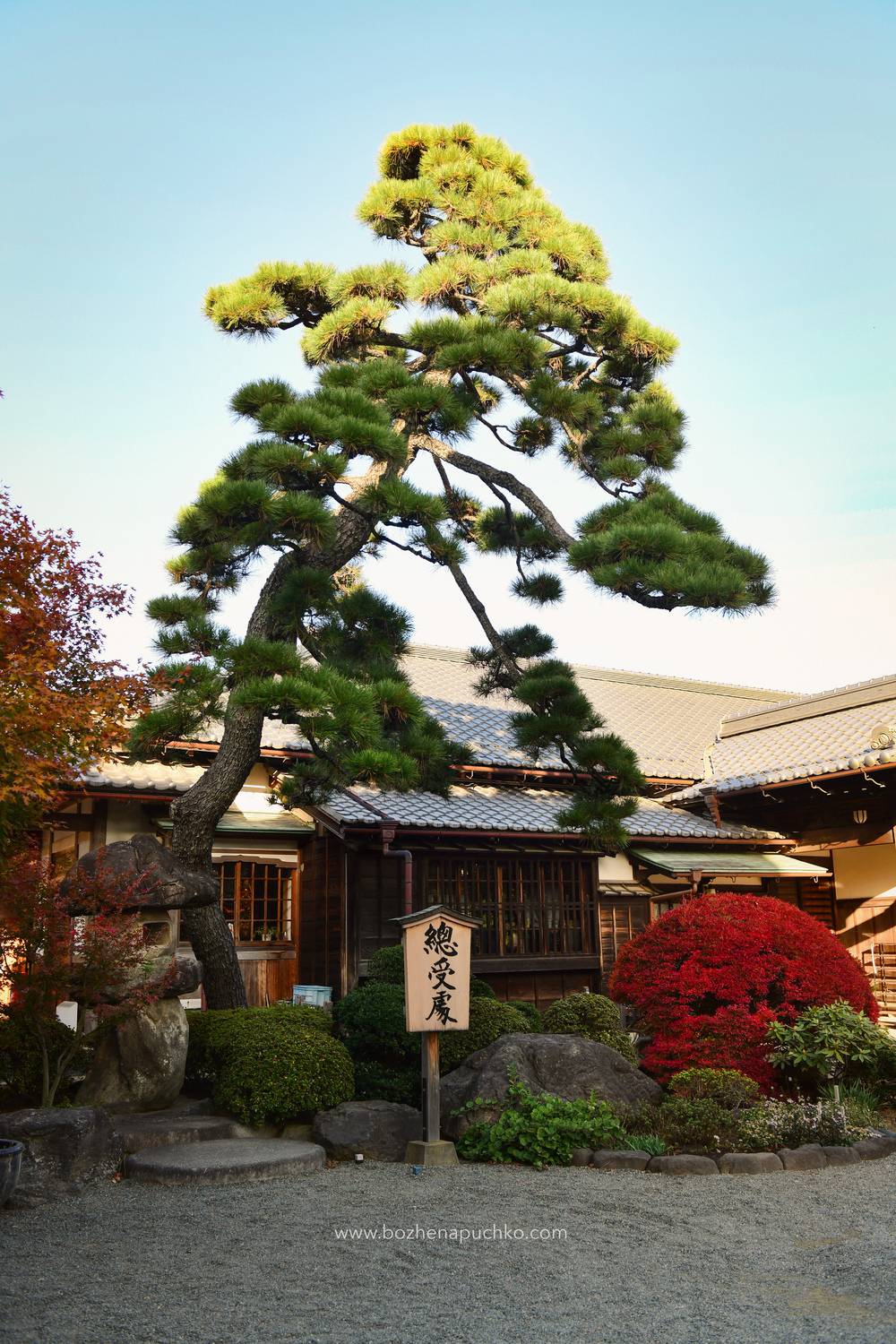 , Божена Пучко