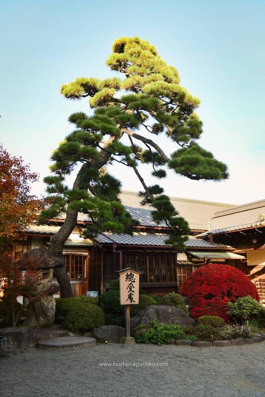 Япония фото превью