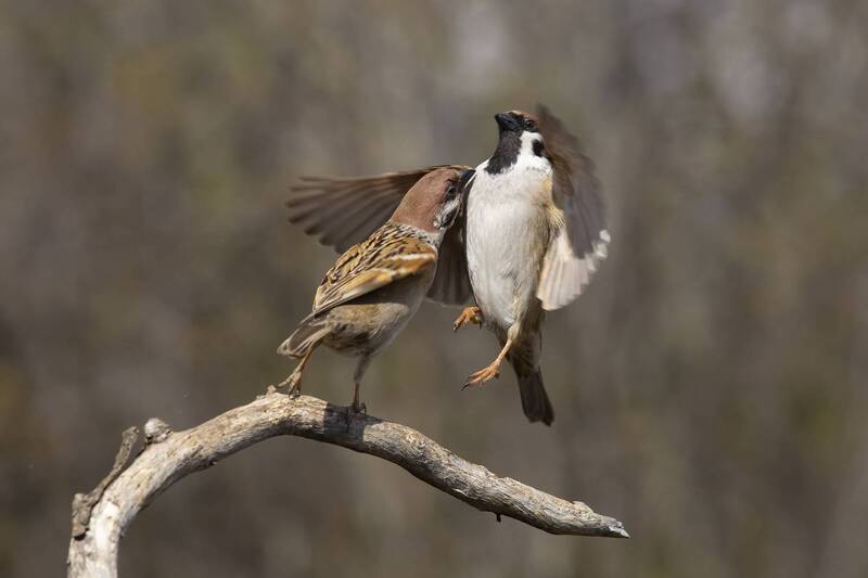 Дай обнять фото превью