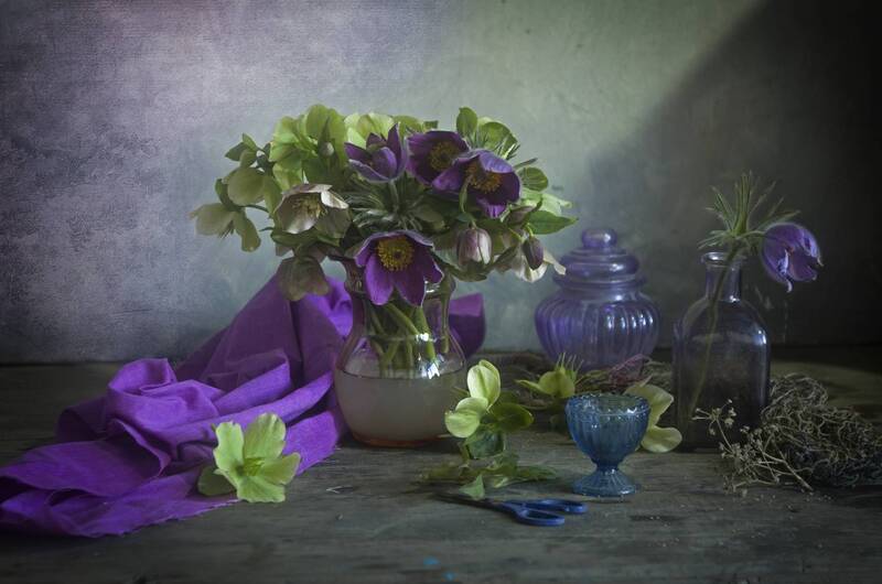 цветы, весна, сон-трава, морозник Весенний букет с сон-травой и морозником фото превью