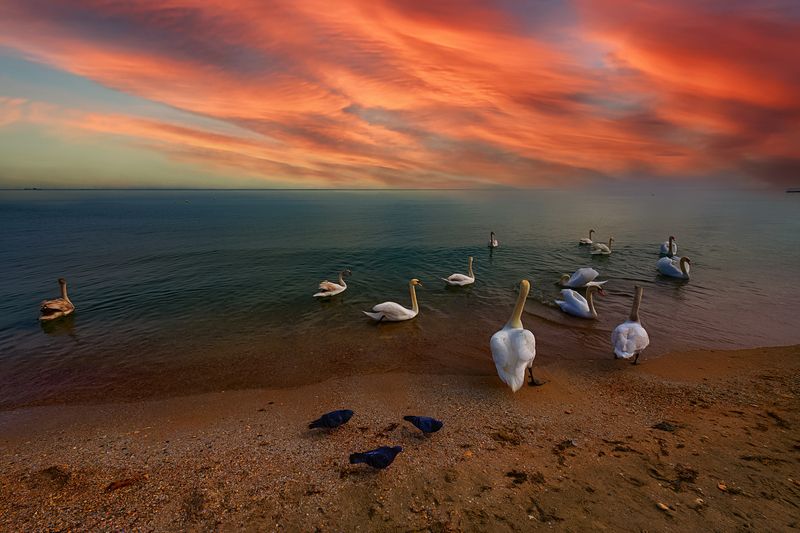 Релакс на Чёрном фото превью