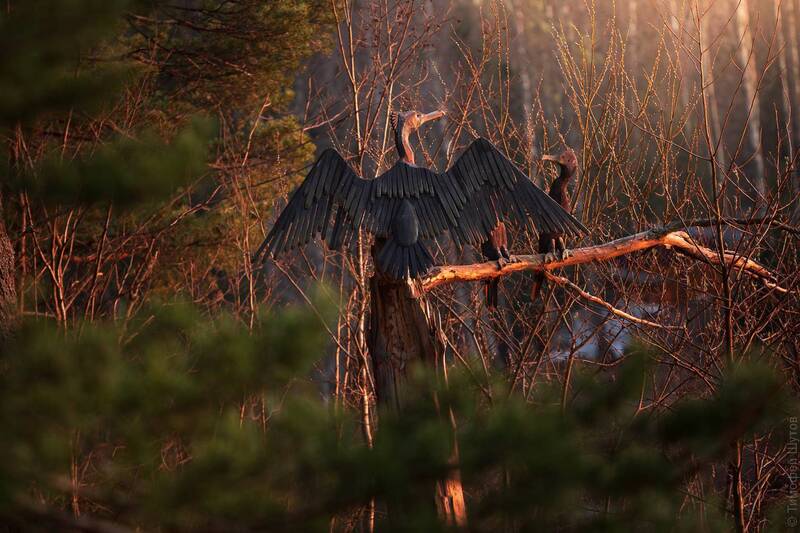 валдай Сегодня фантастически тихий вечер на берегах озера Находно фото превью