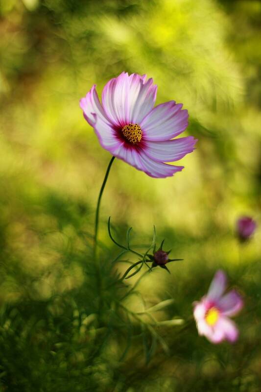 Искренне Ваш фото превью