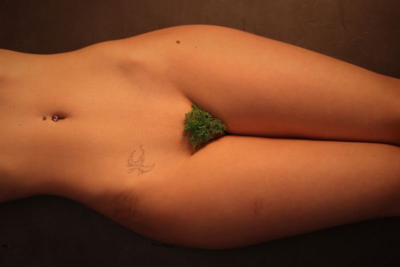 Тело как поверхность фото превью