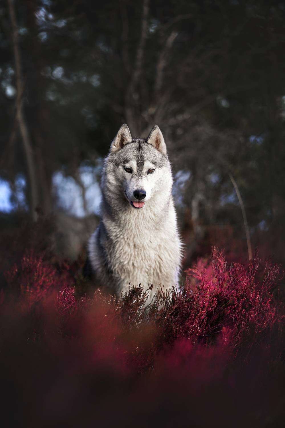 , Андрей Ершов