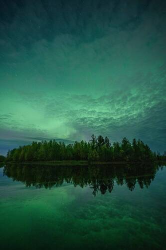 Летняя аврора