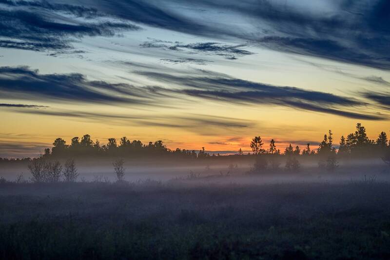 туман, небо, болото, ямал, надым, янао Туман фото превью