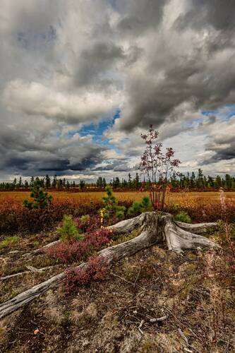 Жизнь продолжается