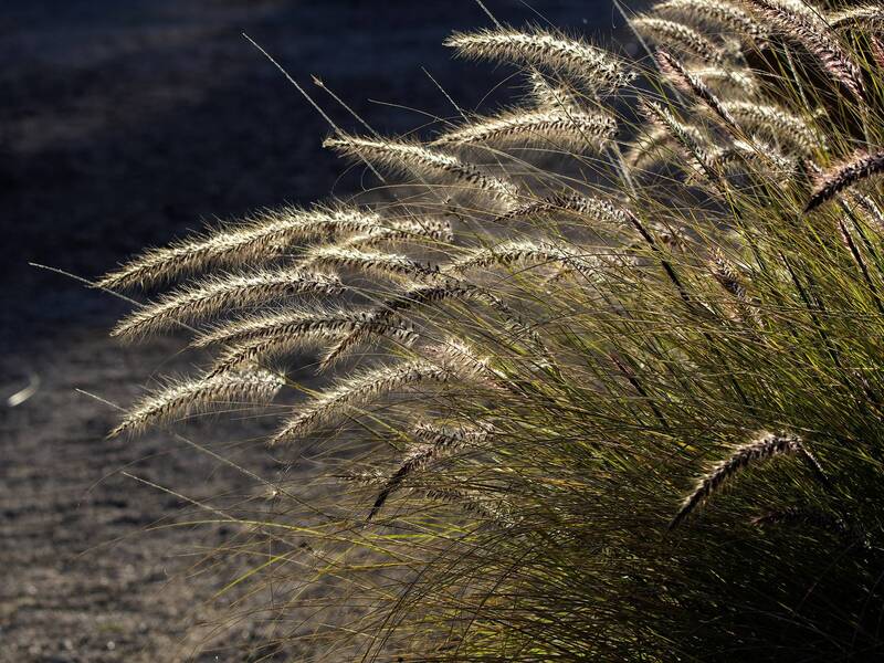 Hостальгия. фото превью