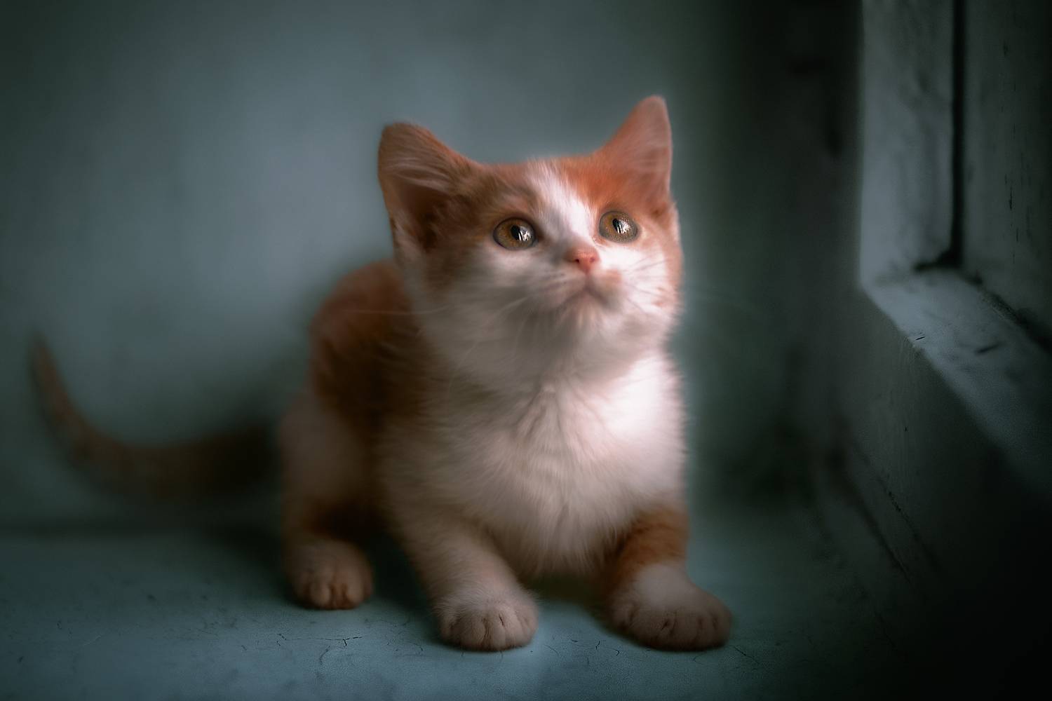 , Холудеев Виктор