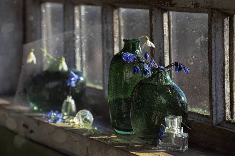 пузырьки, первоцветы, прострел, подснежники На старом окне... фото превью