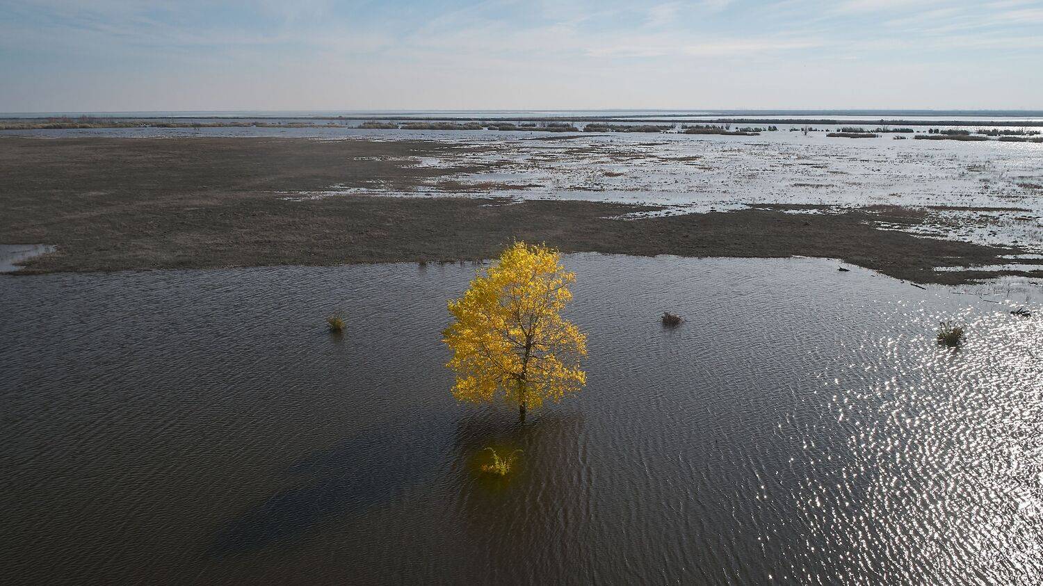 большой лиман, волгоград, россия, Павел Сторчилов