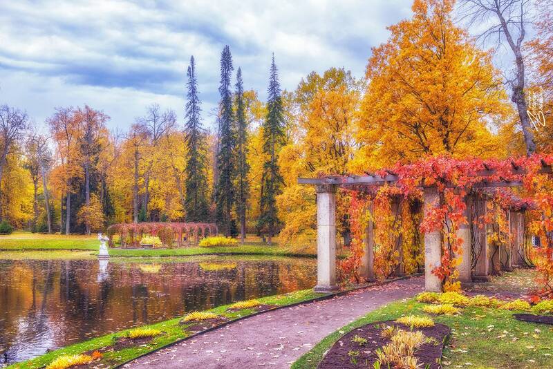 санкт-петербург, оснь, парки, ораниенбаум, город ломоносов По осенним паркам Санкт-Петербурга. фото превью