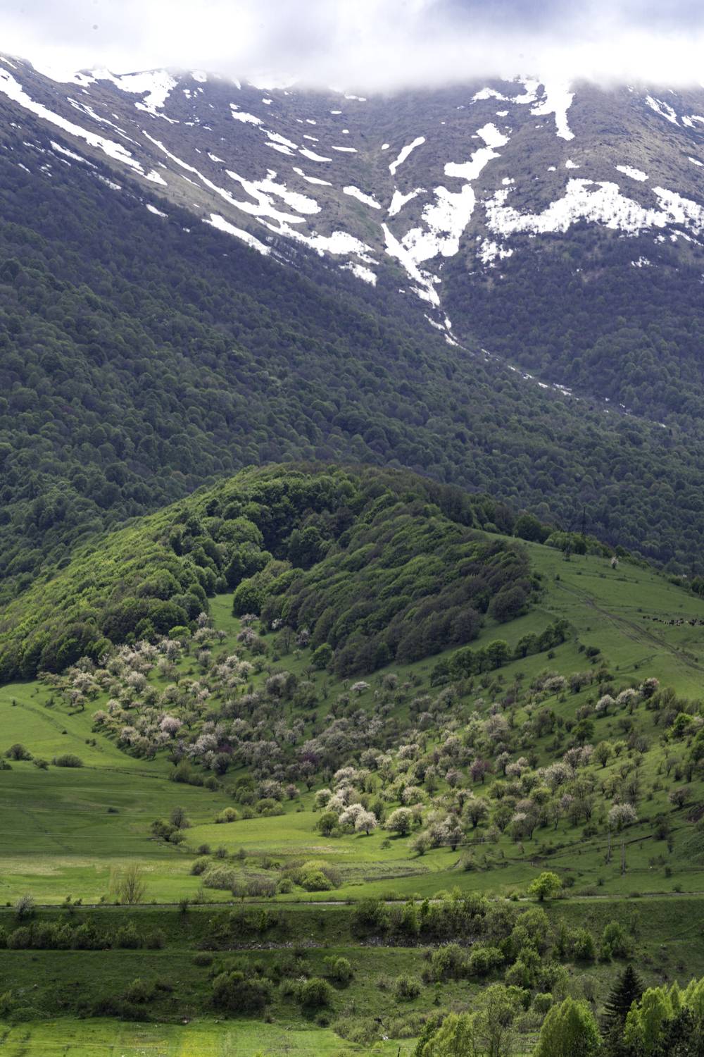 Армения, Лорийская область, Гаврилов Юрий