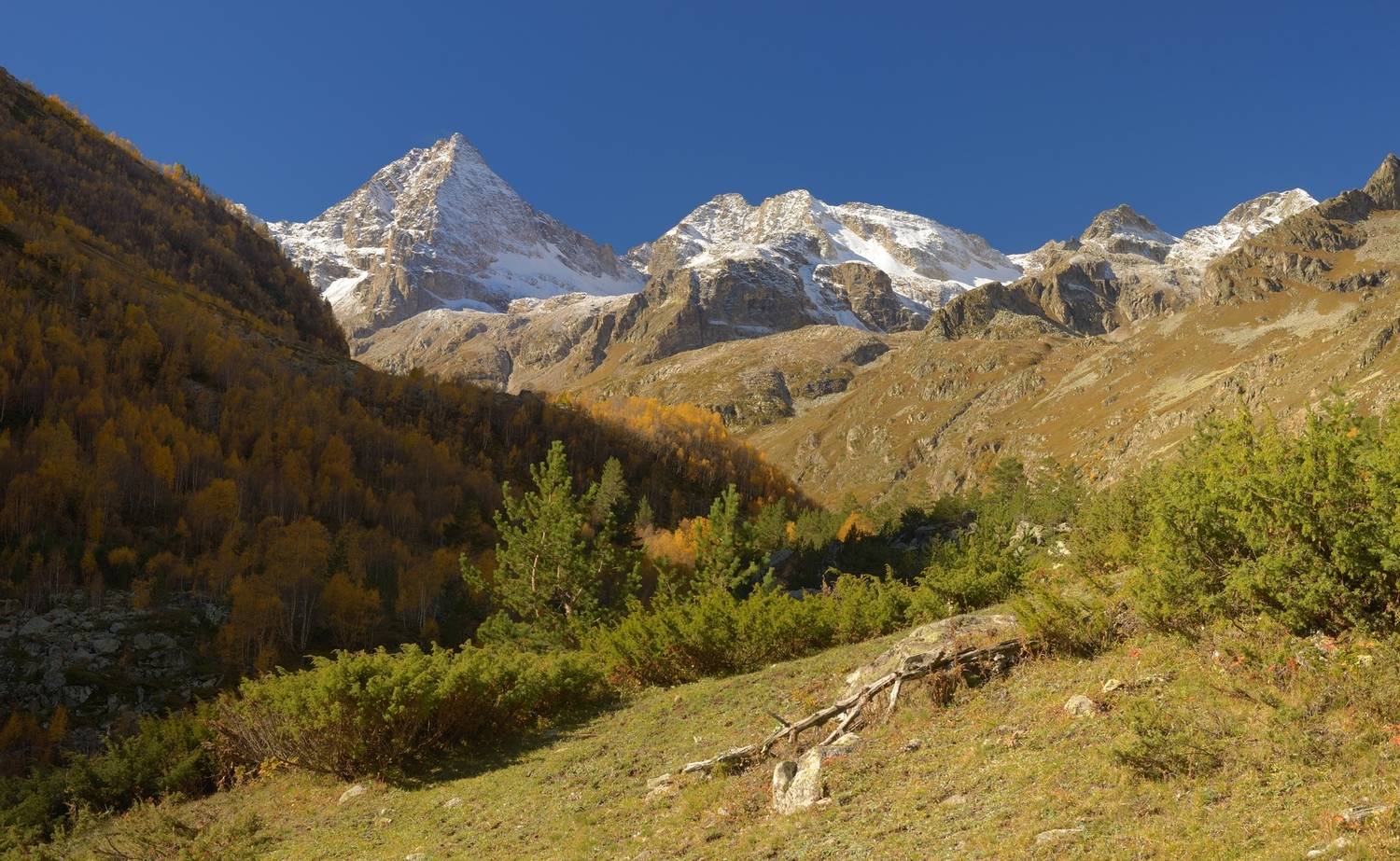 горы, осень, утро, Александр Жарников