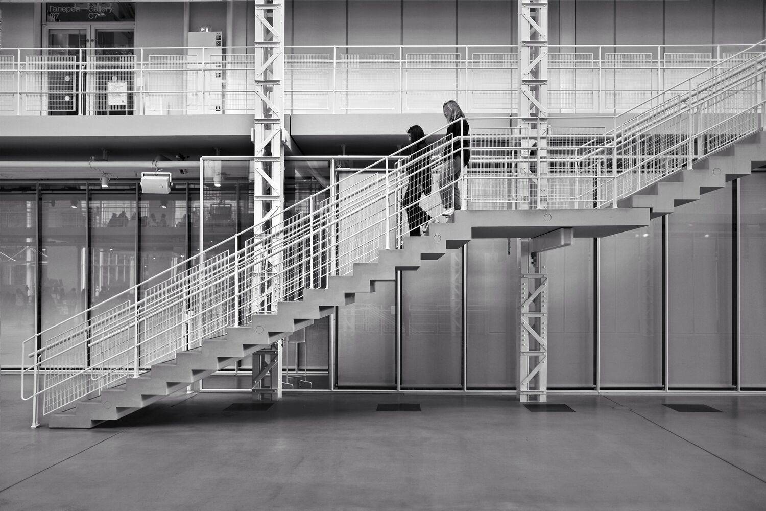 , Зорин Миша