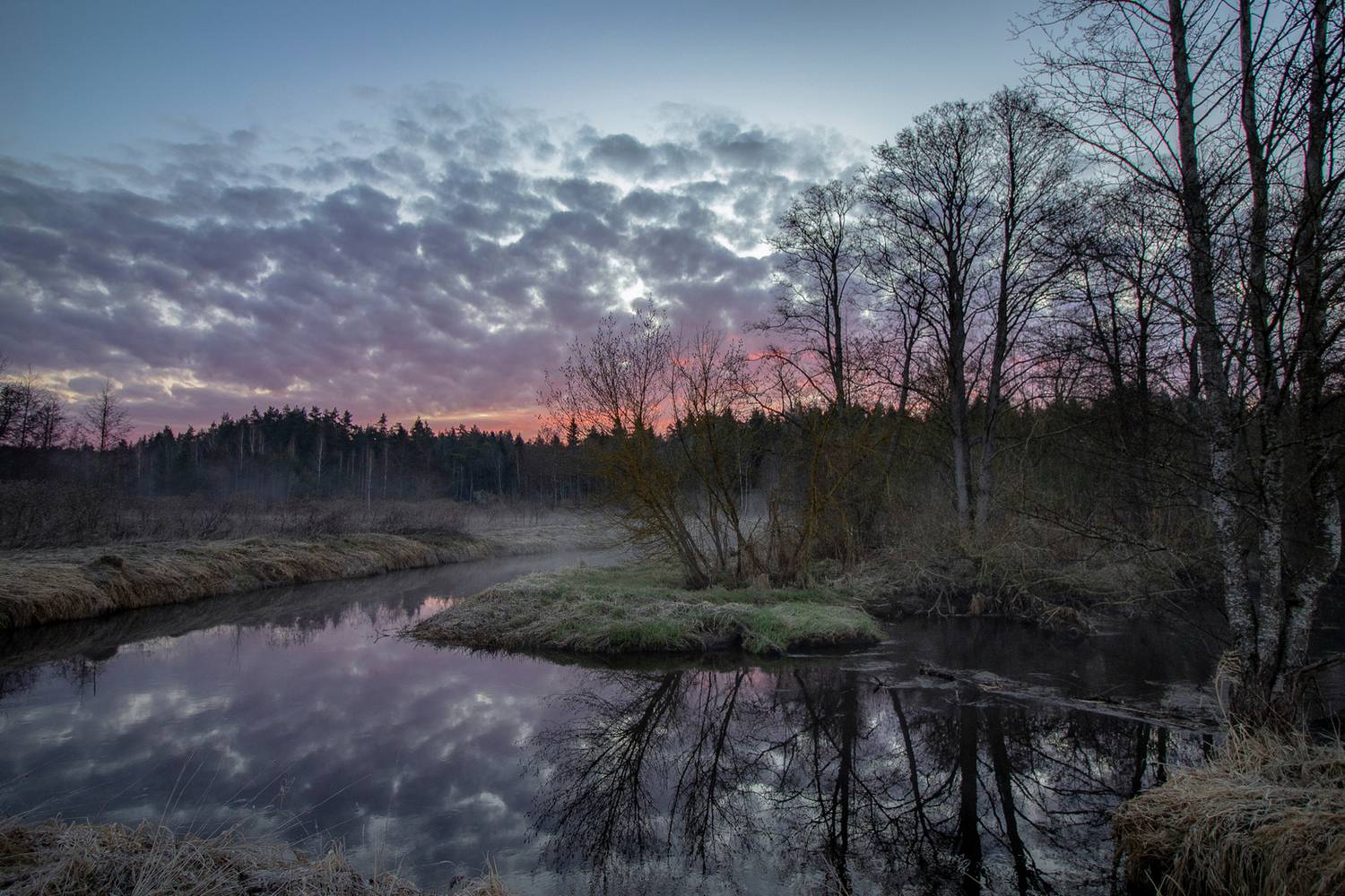 , Игорь Денисов