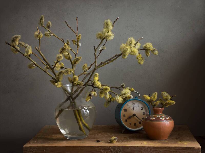 весна, верба Весеннее время... фото превью