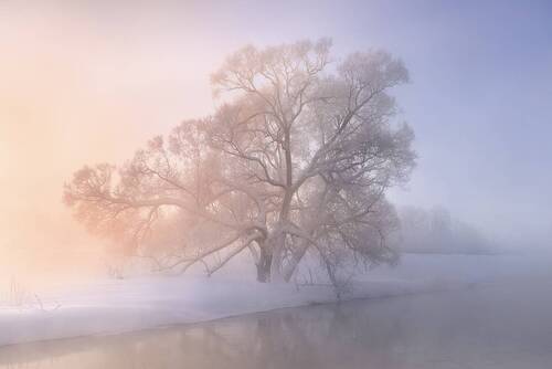 Зимняя поэзия