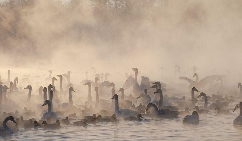 Морозно....-30 фото превью