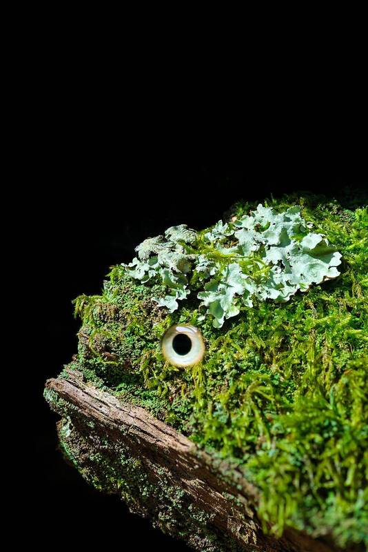 Чудо-юдо... фото превью