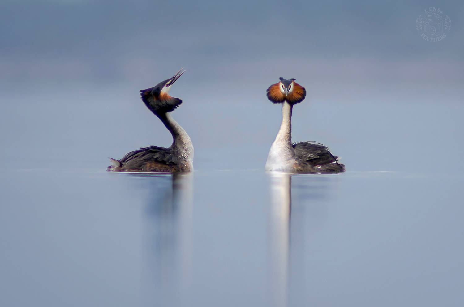 , Евгени Стефанов