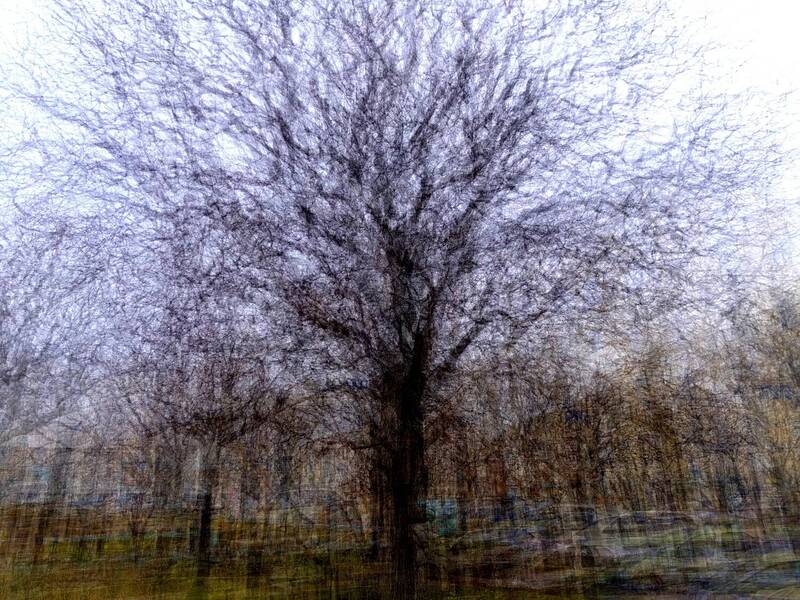 . фото превью