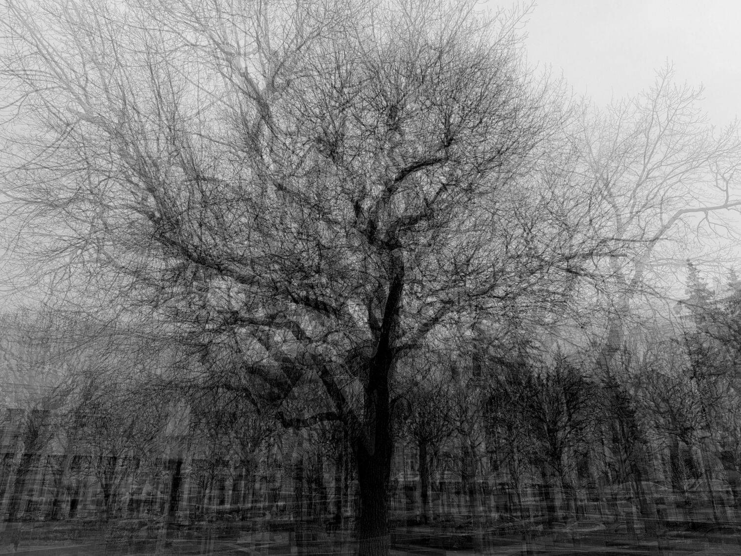 , Антон Лаба