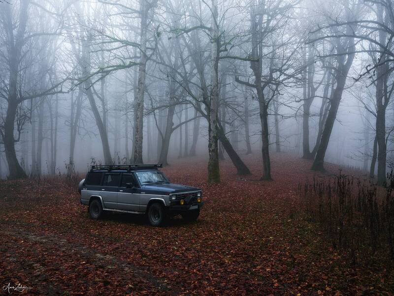 nissan, patrol, car, forest, fog, mist, woodland, travel, photography Nissan Patrol фото превью