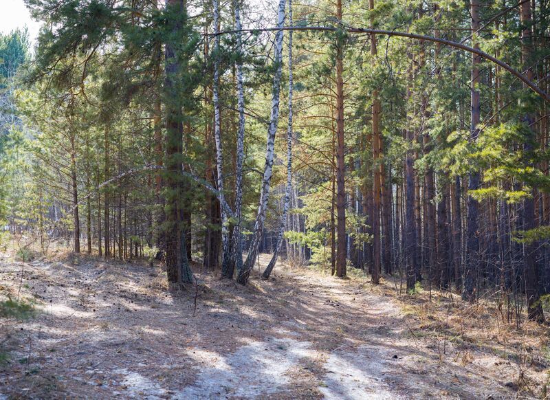 апрельское фото превью