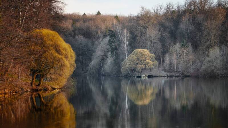 парк, отражения В парке фото превью
