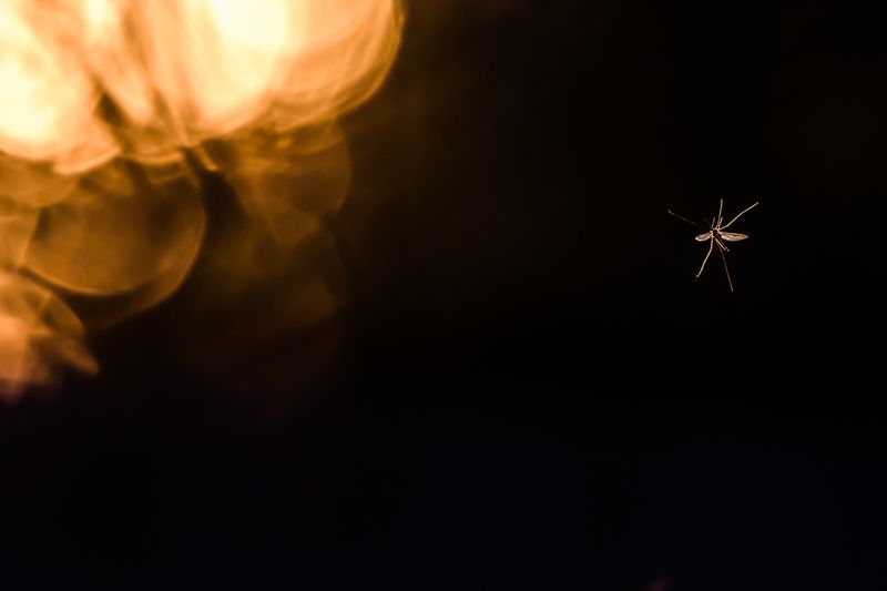 К свету фото превью