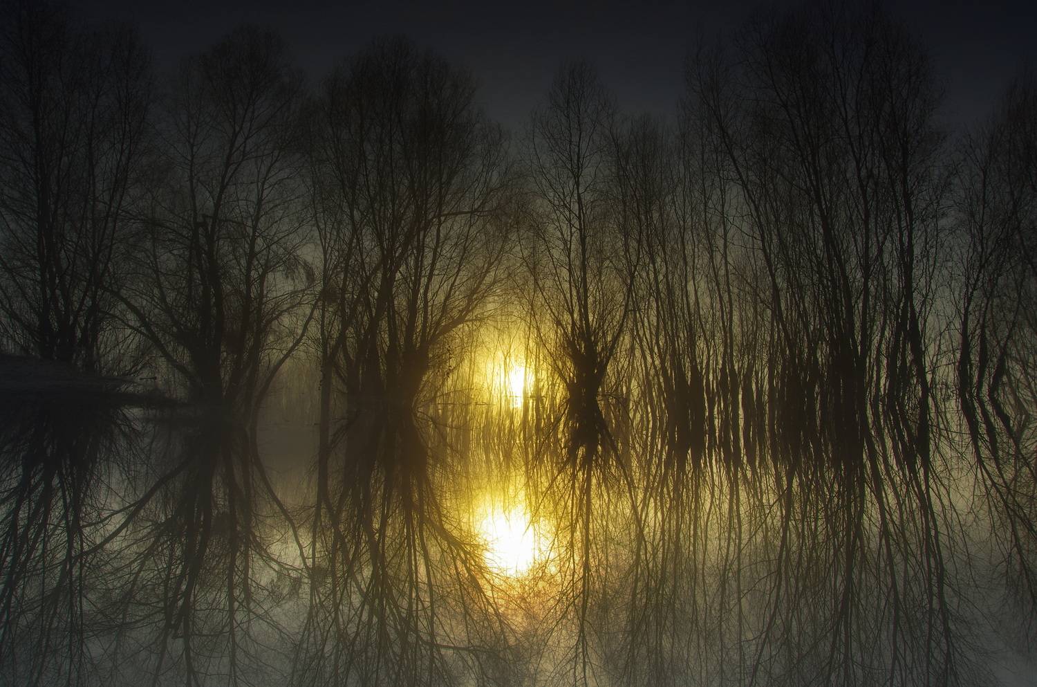 , Шляга Сергей