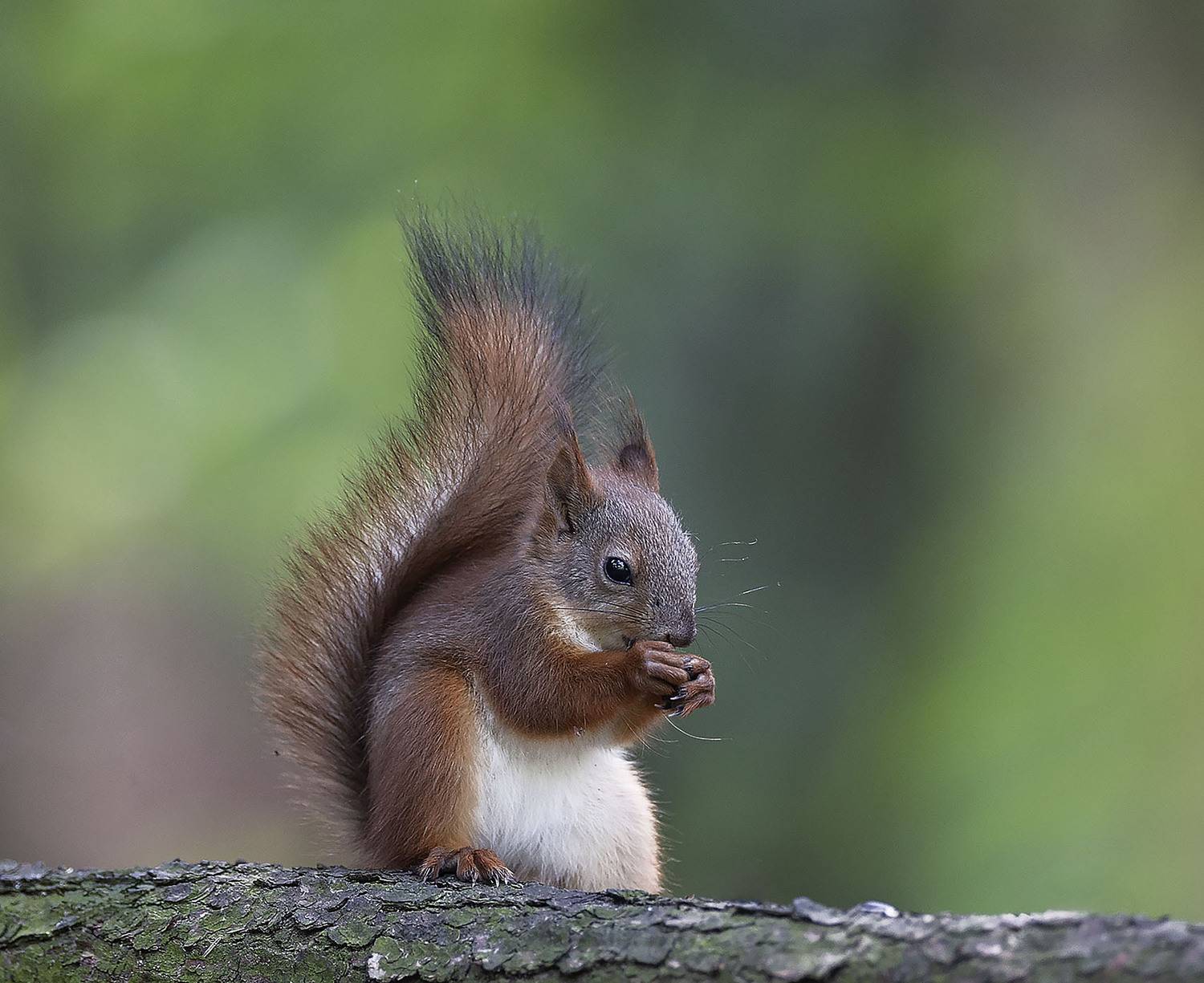 , Стукалова Юлия