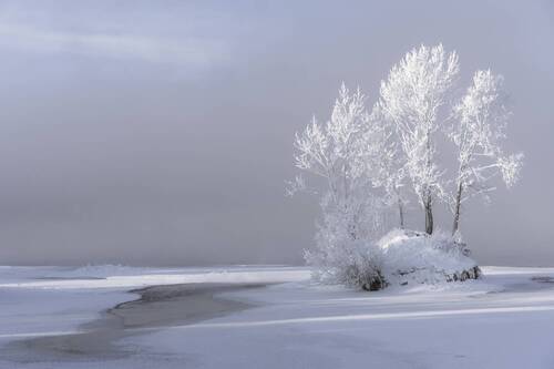 Туманное утро на Енисее