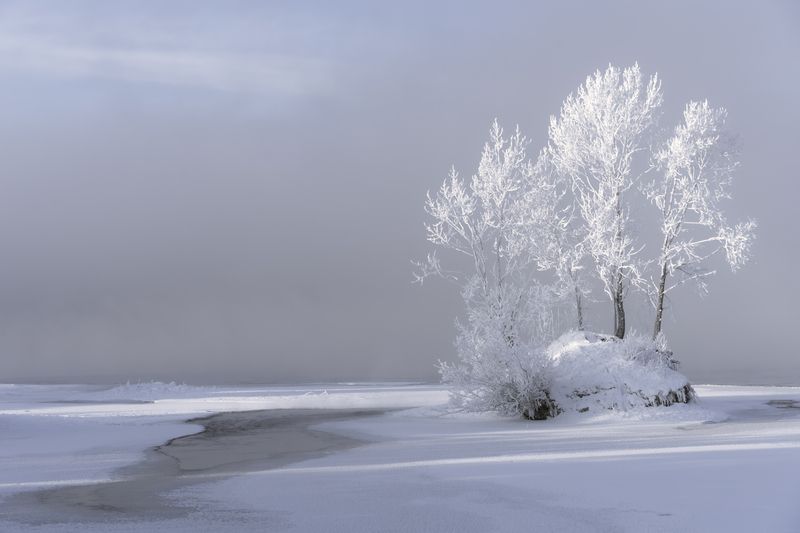 Туманное утро на Енисее фото превью