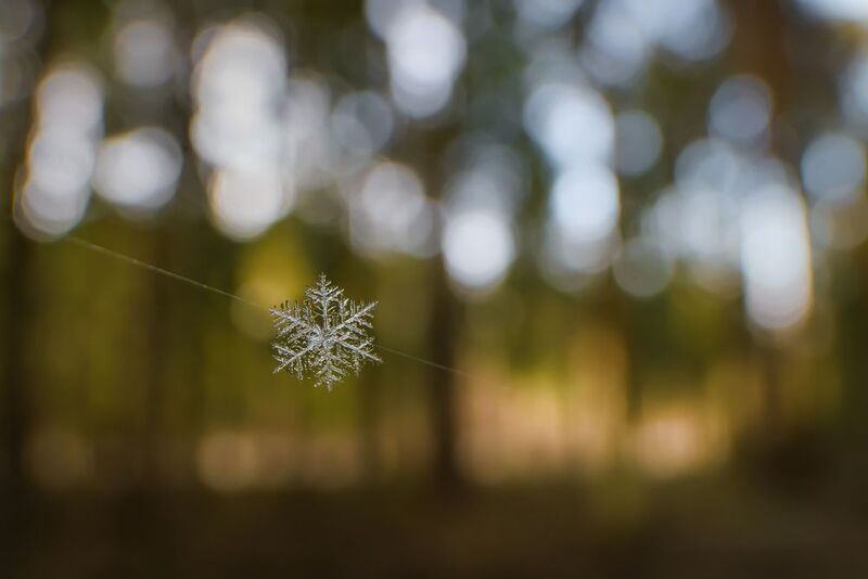 снежинка, первый снег Первый снег фото превью