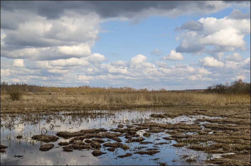 Межсезонье, весна. фото превью