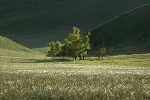 Минимализм степей оренбуржья