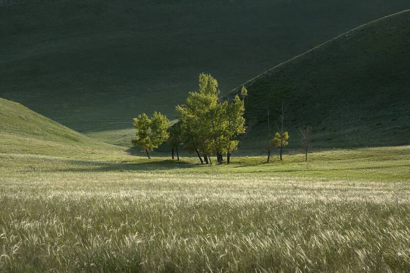 оренбуржбе, степь, степной пейзаж, пейзаж на телевик Минимализм степей оренбуржья фото превью