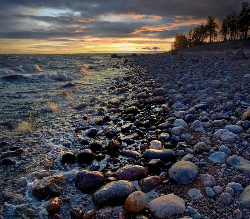 Я родился и вырос в балтийских болотах, подле серых цинковых волн, всегда набегавших по две... фото превью